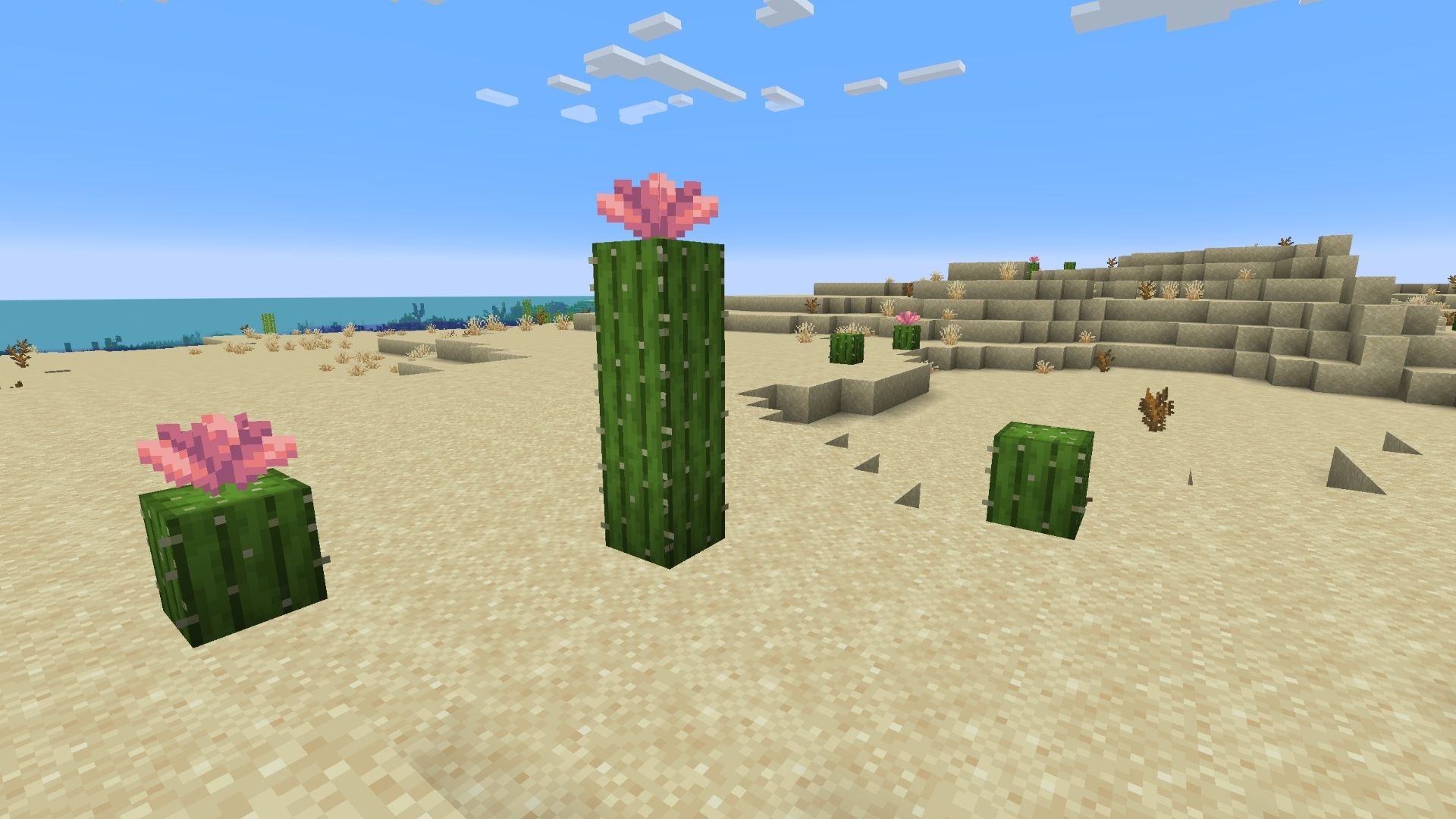 cherry blossom biome in minecraft