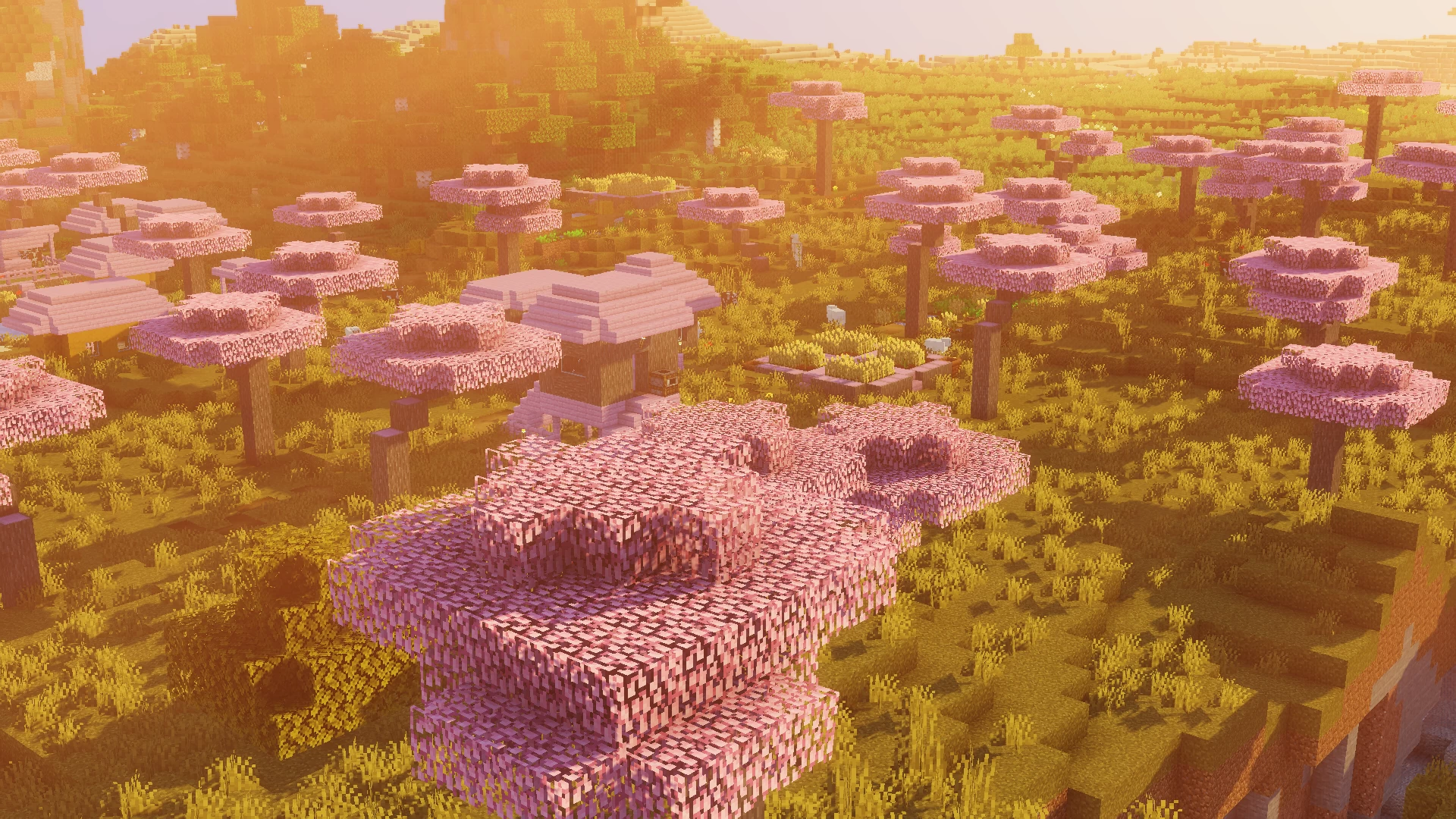 cherry blossom biome in minecraft